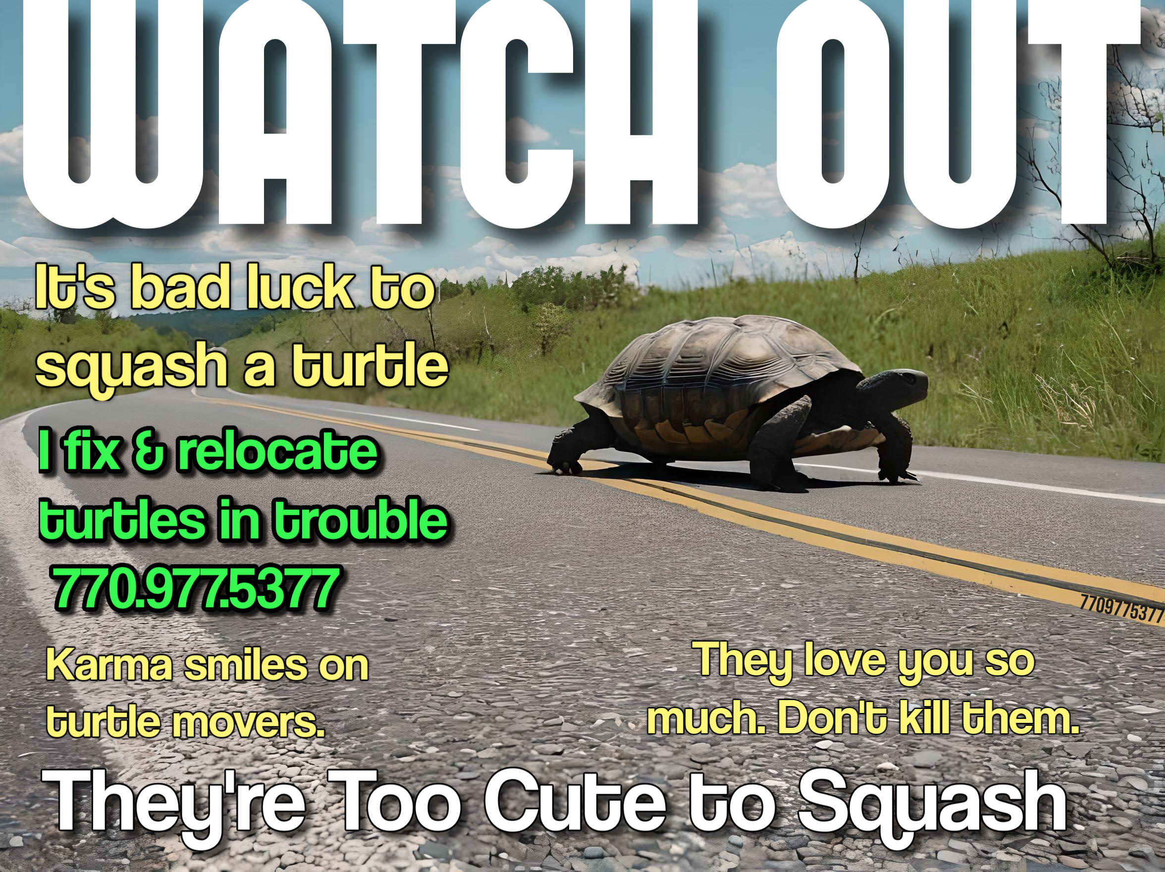 If you find a turtle (broken or not) on the road that needs help